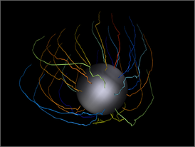 In silico network trajectory relative to bead during smooth motion. 